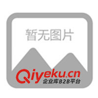 供應(yīng)電源適配器，開關(guān)電源 適配器，電池充電器，火牛